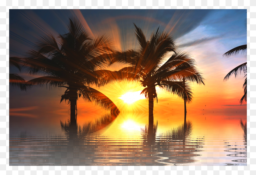 960x635 Sunset Sun Vacations Nature Tree Isolated Scenic Hi Friends Good Evening, Outdoors, Tropical, Sky HD PNG Download
