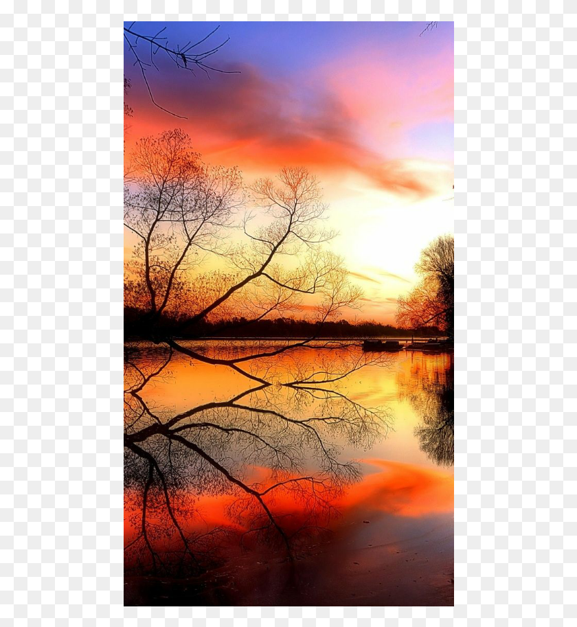 482x853 Sunset Trees Sky Clouds Nature Waterreflection Wondrous Sunrise, Land, Outdoors, Water HD PNG Download