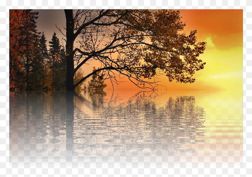 961x652 Закат Отпуск Солнце Природа Дерево Изолированное Живописный Закат, На Открытом Воздухе, Вода, Растение Hd Png Скачать