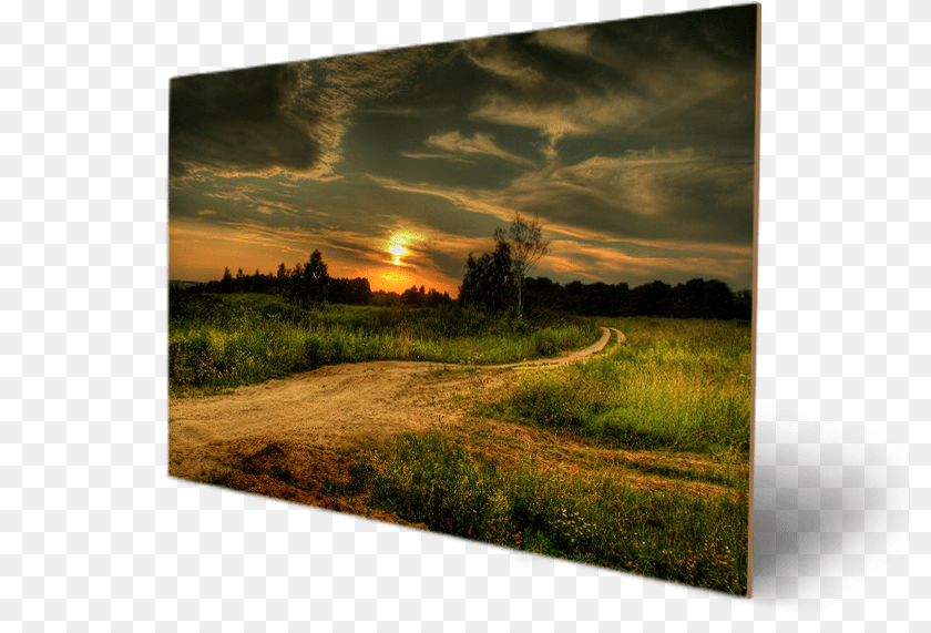 801x571 Sunsets Philips Tv, Sunset, Sunlight, Sky, Outdoors Clipart PNG