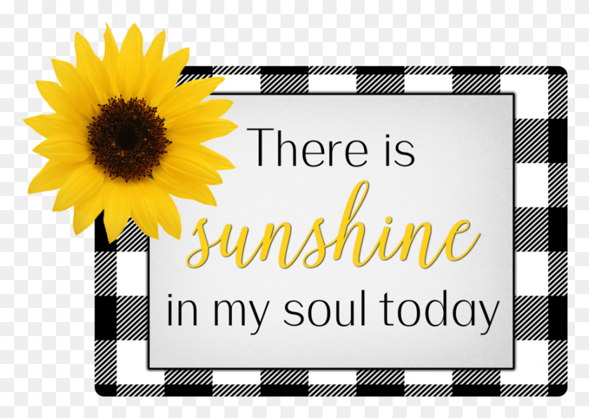 863x595 Sunshine In My Soul Sunflower, Plant, Flower, Blossom HD PNG Download