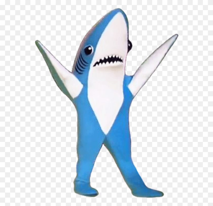 569x753 Super Bowl Xlix Halftime Left Shark День Святого Валентина Dank Meme, Морская Жизнь, Животное, Рыба Hd Png Скачать