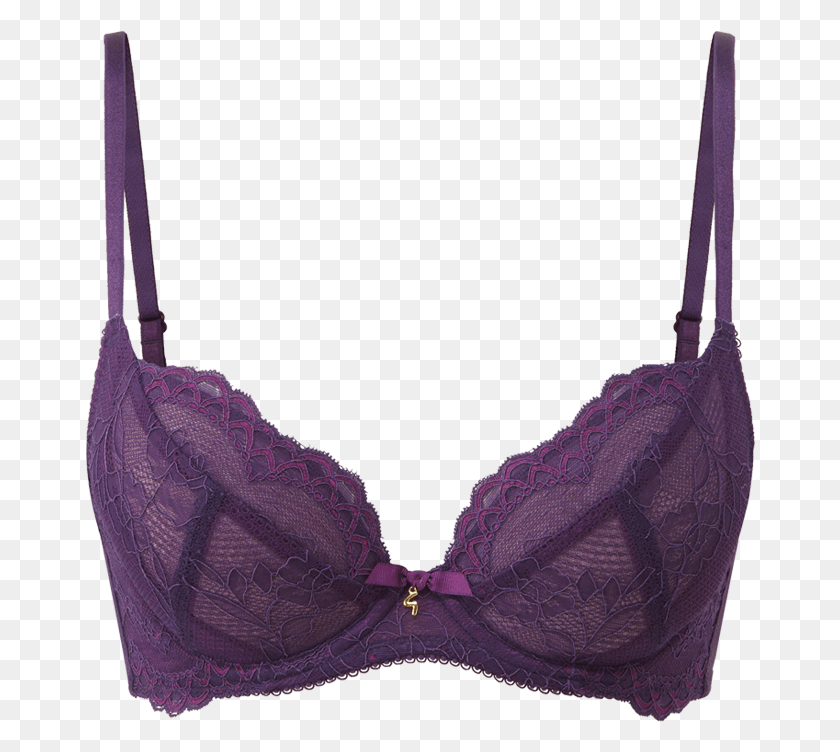 670x692 Superboost Lace Np Plunge Purple Product Front Bra, Clothing, Apparel, Lingerie HD PNG Download
