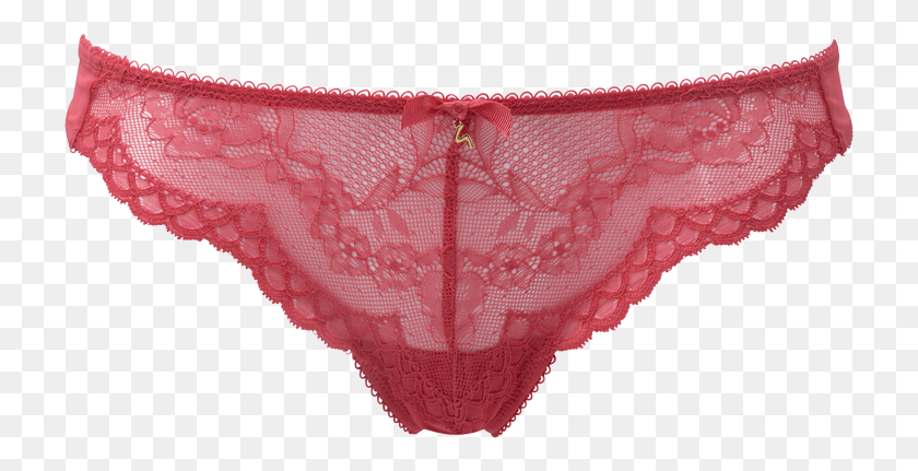 723x371 Superboost Lace Thong Hibiscus Product Shot Front Undergarment, Clothing, Apparel, Lingerie HD PNG Download