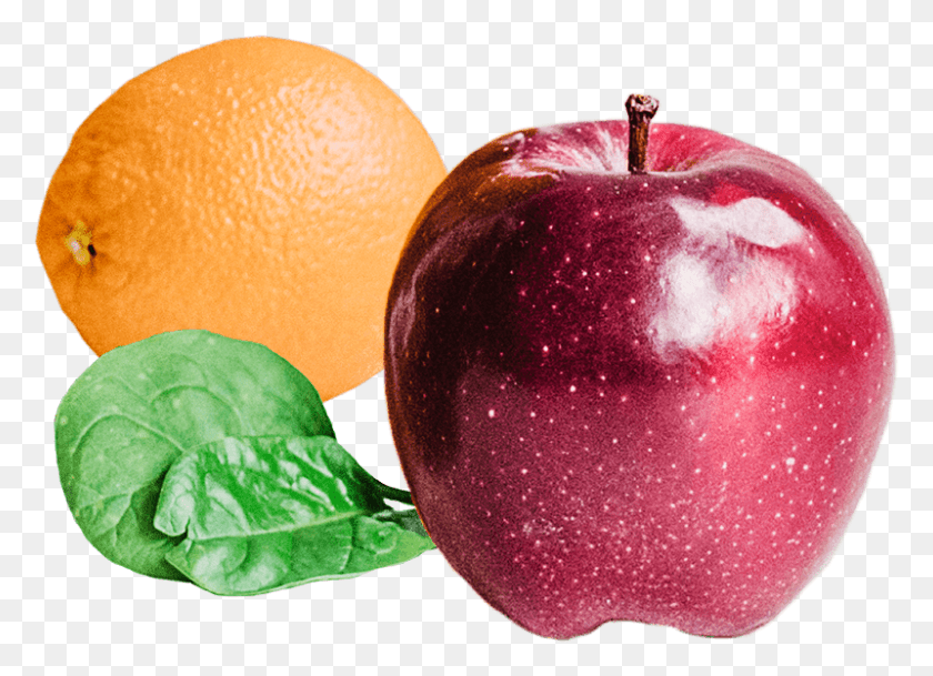 800x564 Supplements Are 90 98 Absorbable We Combine Apple, Fruit, Plant, Food HD PNG Download