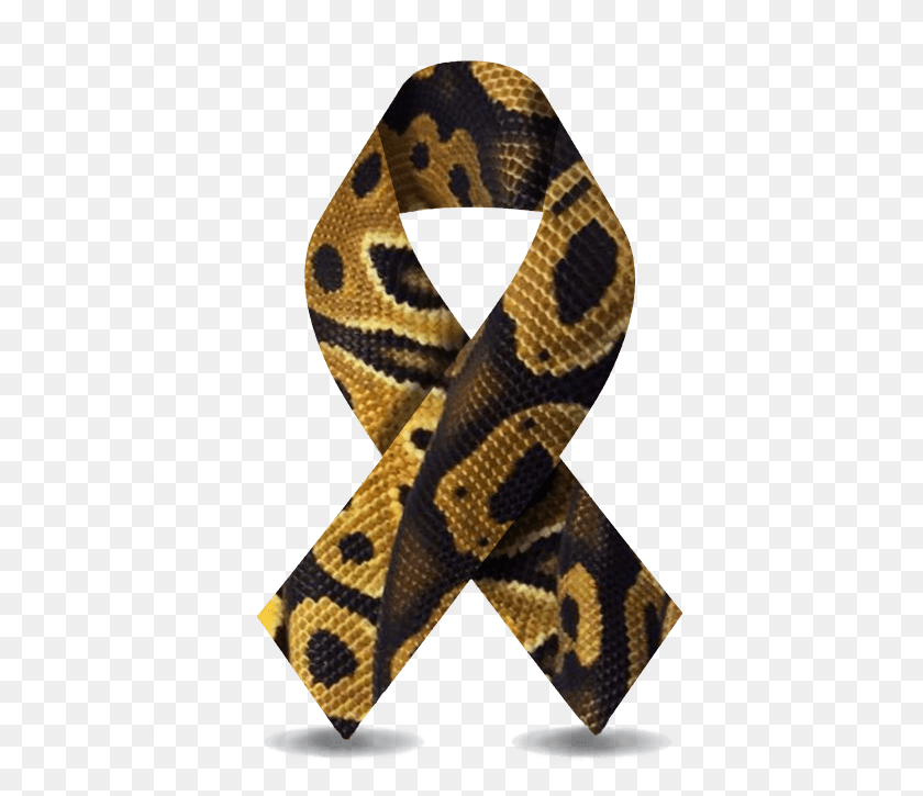 567x665 Support Reptile Genetics Research Python, Animal, Snake, Scarf HD PNG Download