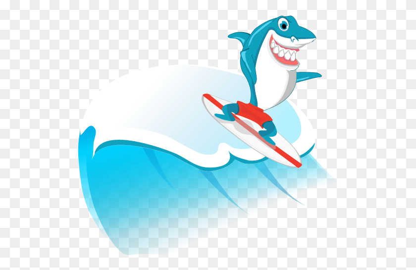 528x485 Surfing Shark Great White Shark, Sea Life, Animal, Bird HD PNG Download