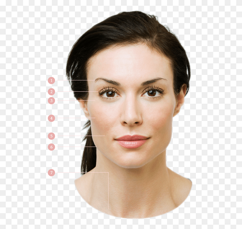 507x735 Surgery Free Facelifts Fat Transfer Face Miami, Person, Human, Head HD PNG Download