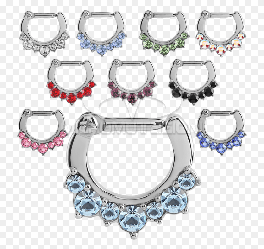 733x734 Surgical Steel Round Jewelled Hinged Septum Cliker Crystal, Accessories, Accessory, Jewelry HD PNG Download