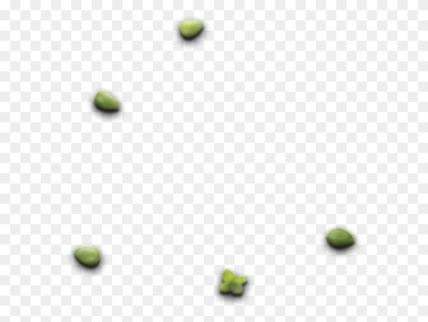 581x572 Sushi Leaf 2 Pea, Astronomy, Outer Space, Space HD PNG Download