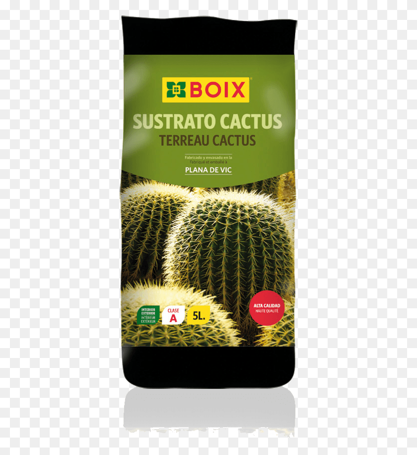 359x855 Sustrato Cactus Hedgehog Cactus, Plant, Flyer, Poster HD PNG Download
