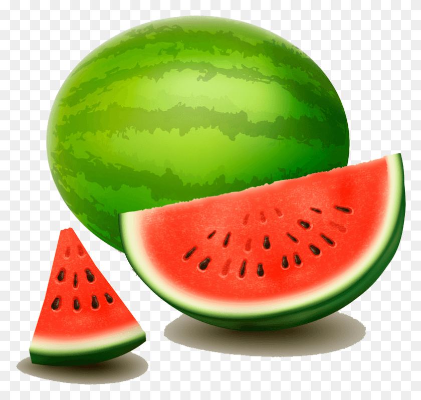 787x745 Svg Berry Drawing Water Melon Watermelon, Plant, Fruit, Food HD PNG Download