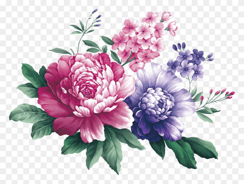 2052x1511 Svg Black And White Stock Floral Design Centifolia Peony Watercolor Flower Corner, Graphics, Pattern HD PNG Download