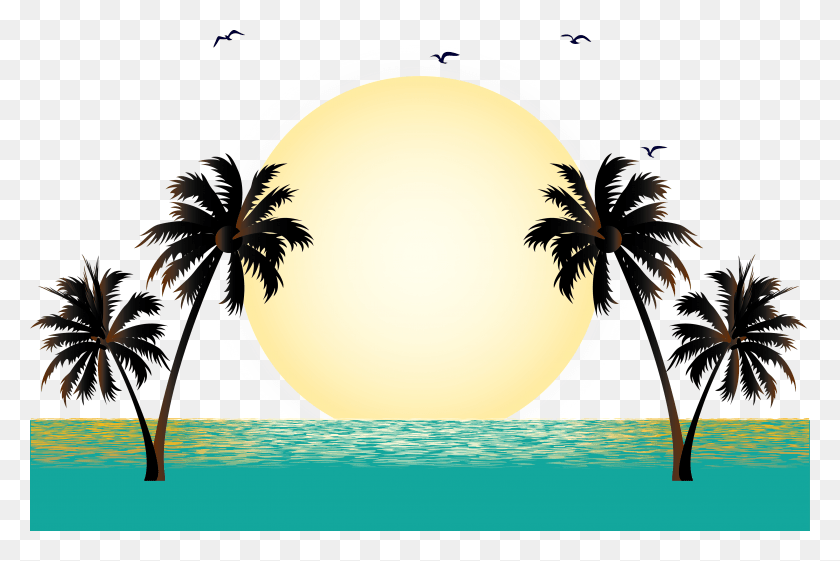 4567x2935 Svg Black And White Stock Palms Vector Sunset St Croix Usvi Tattoos, Tree, Plant, Palm Tree HD PNG Download