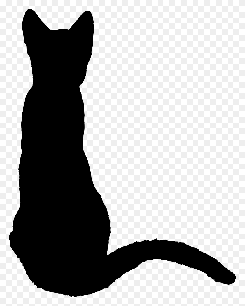 2606x3304 Svg Black Cat Tattoos Love Tattoos Cat Silhouette Black Cat Sitting Silhouette, Gray, World Of Warcraft HD PNG Download