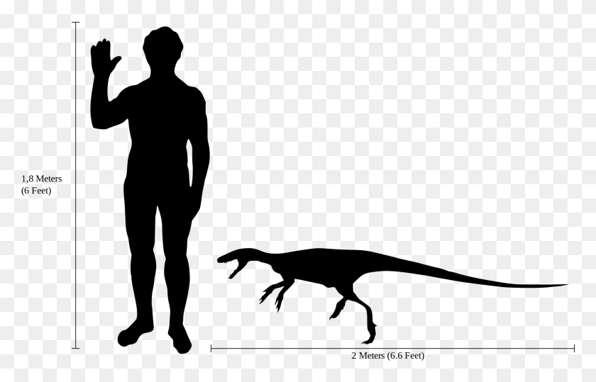1572x967 Svg Free Library Staurikosaurus Thescelosaurus Microraptor Size Of A Flamingo, Gray, World Of Warcraft HD PNG Download
