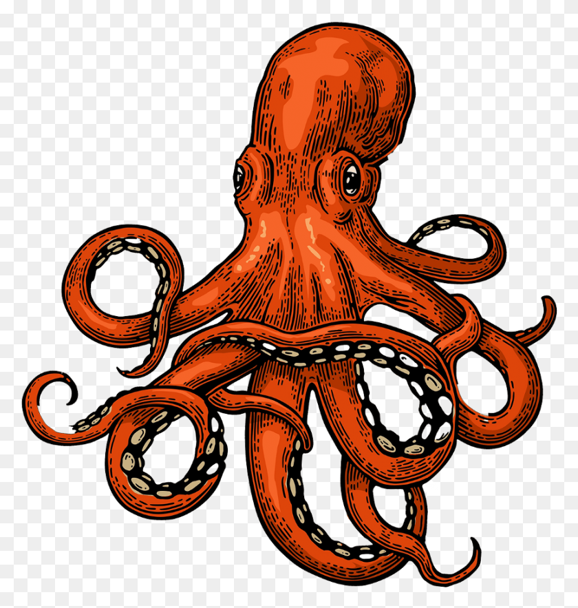 863x911 Svg Library Stock Transprent Free Marine Woods Hole Film Festival, Sea Life, Animal, Octopus HD PNG Download