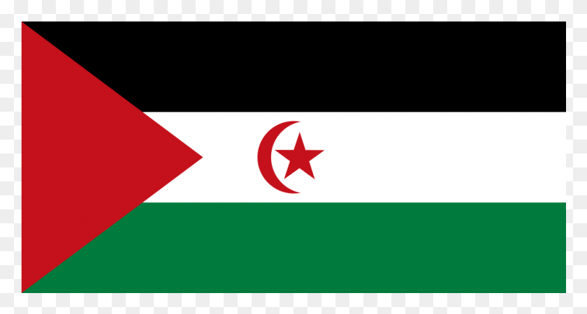 991x496 Svg Флаг Палестины, Символ, Символ Звезды, Логотип Hd Png Скачать