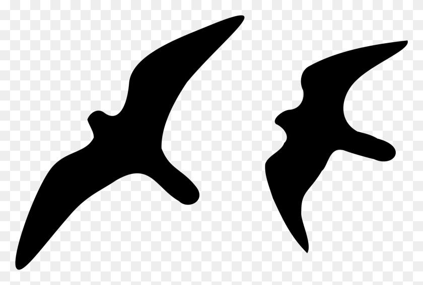 1772x1153 Svg Peregrine Falcon Silhouette, Gray, World Of Warcraft HD PNG Download