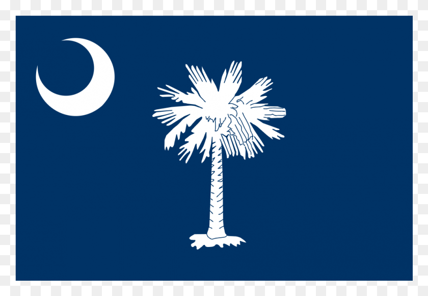 991x661 Svg Флаг Южной Каролины, Дерево, Растение, Птица Hd Png Скачать