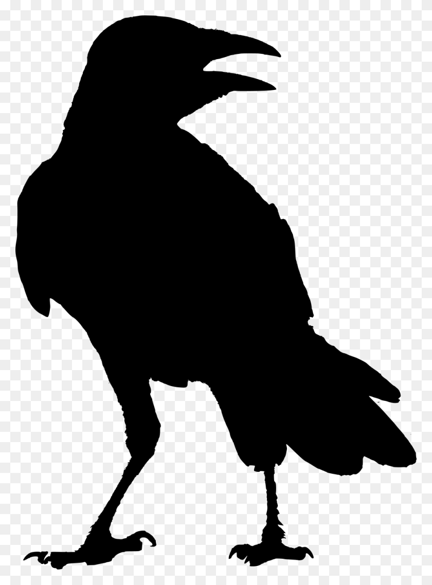 1000x1383 Svg Transparent Crow Clipart Raven Silhouette Raven, Gray, World Of Warcraft HD PNG Download