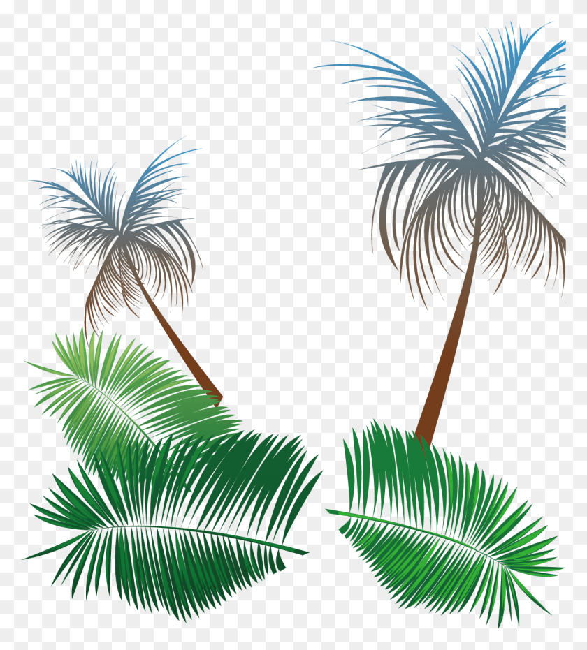 1166x1303 Svg Transparent Library Beach Coconut Tree Background Roystonea, Tree, Plant, Palm Tree HD PNG Download