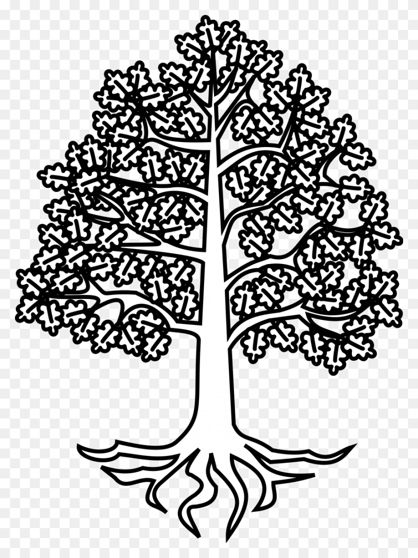856x1164 Svg Trees Roots Free, Root, Plant, Poster HD PNG Download