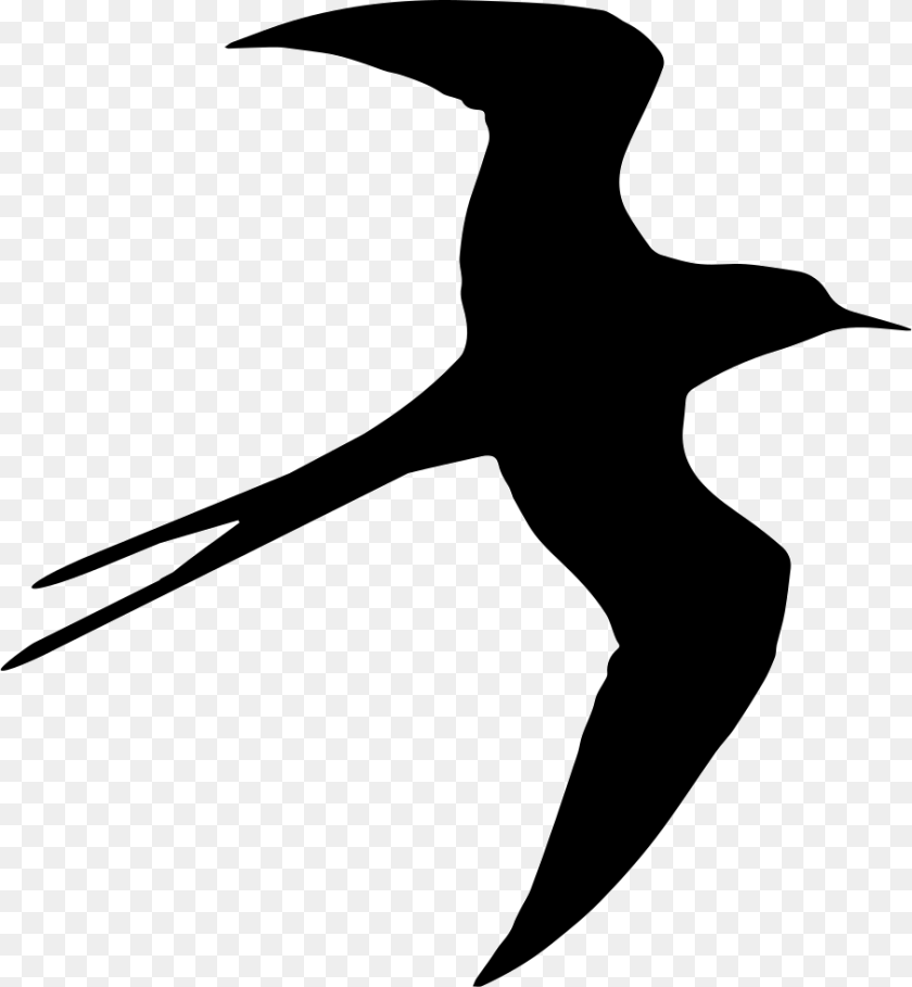 906x980 Swallow Bird Flying Silhouette Bird Fly Psd File, Animal, Booby PNG