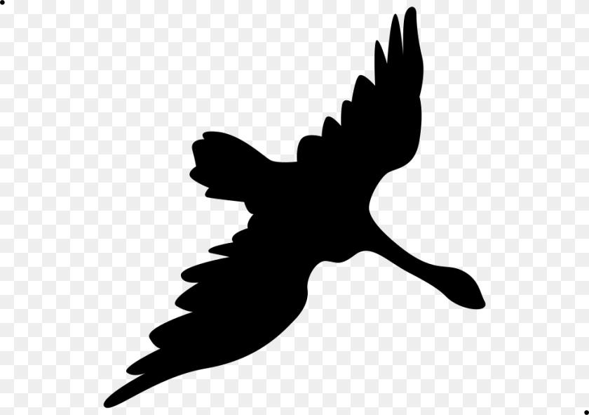 Swan Fill Accipitridae, Silhouette, Animal, Bird, Flying Transparent PNG