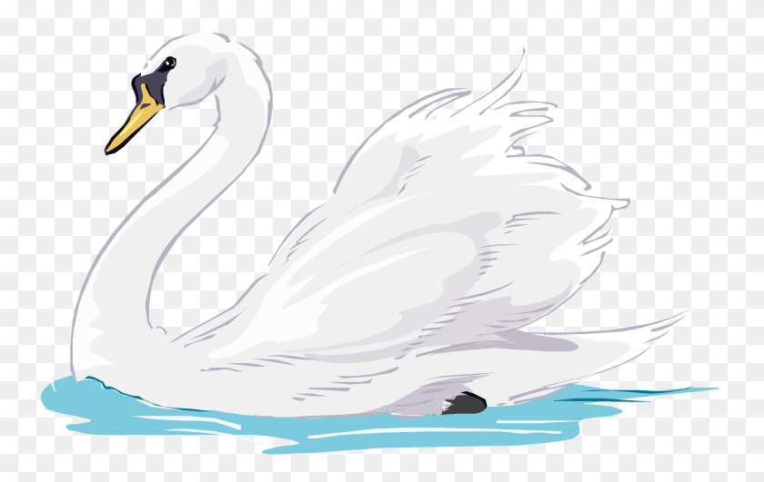 750x471 Swan Swimming 7 Swans Swimming, Bird, Animal, Waterfowl HD PNG Download