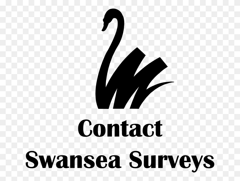 660x575 Swansea Surveys Swan, Серый, World Of Warcraft Hd Png Скачать