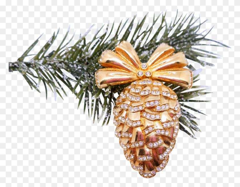 1696x1293 Swarovski Pine Cone Pin Mexican Pinyon, Tree, Plant, Ornament HD PNG Download