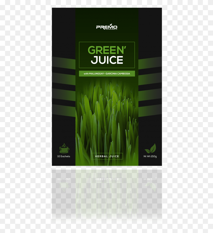 2393x2629 Sweet Grass, Plant, Flyer, Poster HD PNG Download
