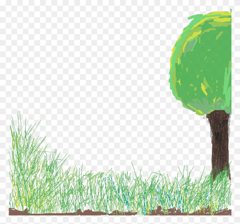 1001x931 Sweet Grass, Green, Plant, Vegetation HD PNG Download
