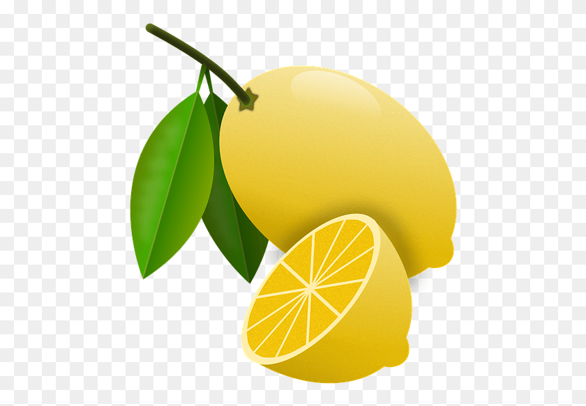 474x523 Лимон, Лимон, Цитрусовые, Фрукты Png Скачать