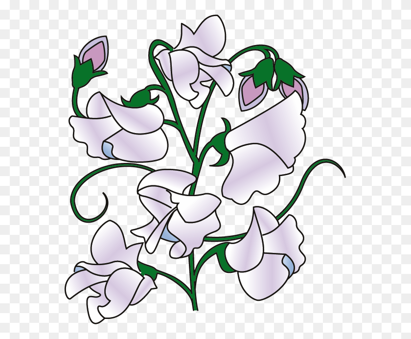 575x633 Sweet Pea Border Clipart Sweet Pea Flower Cartoon, Plant, Blossom, Graphics HD PNG Download