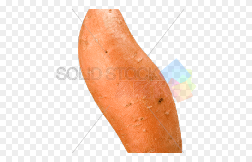 474x481 Sweet Potato, Plant, Produce, Food HD PNG Download