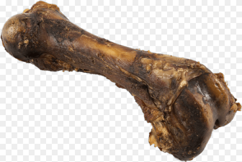 954x639 Sweetgrass Pork Femur Lamb And Mutton, Food, Meat, Animal, Insect PNG