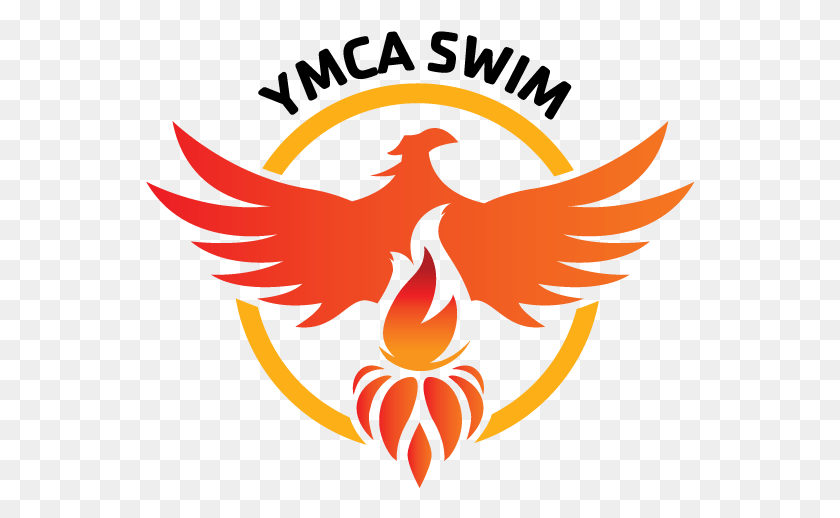 550x458 Swim Team And Swim Camp New Ymca, Symbol, Emblem, Bird HD PNG Download