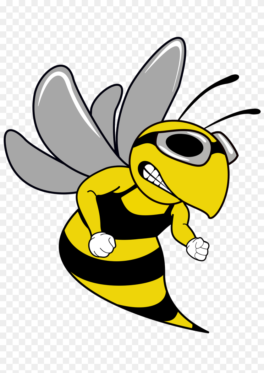 1357x1920 Swim Team Hornet Mascot Clipart, Animal, Bee, Insect, Invertebrate Transparent PNG