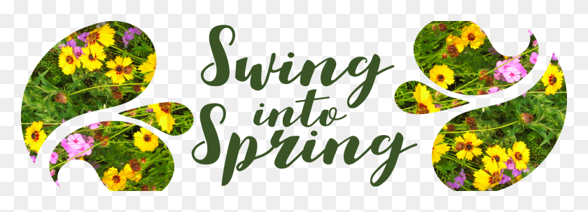 3333x1042 Swing Into Spring Header Paisley Spring Header, Text, Alphabet, Handwriting HD PNG Download
