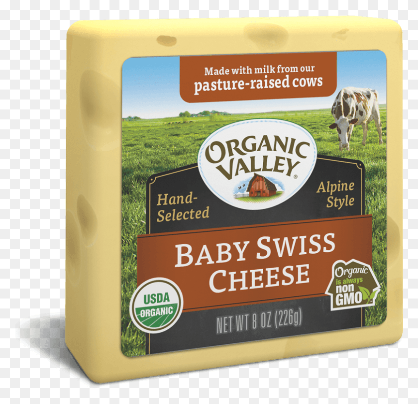 805x777 Swiss Cheese Organic Valley Raw Sharp Cheddar Cheese, Cow, Plant, Vase HD PNG Download