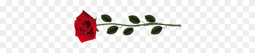 354x116 Sword Http I Imgur Comrq8mtsz Rose, Leaf, Plant, Annonaceae HD PNG Download