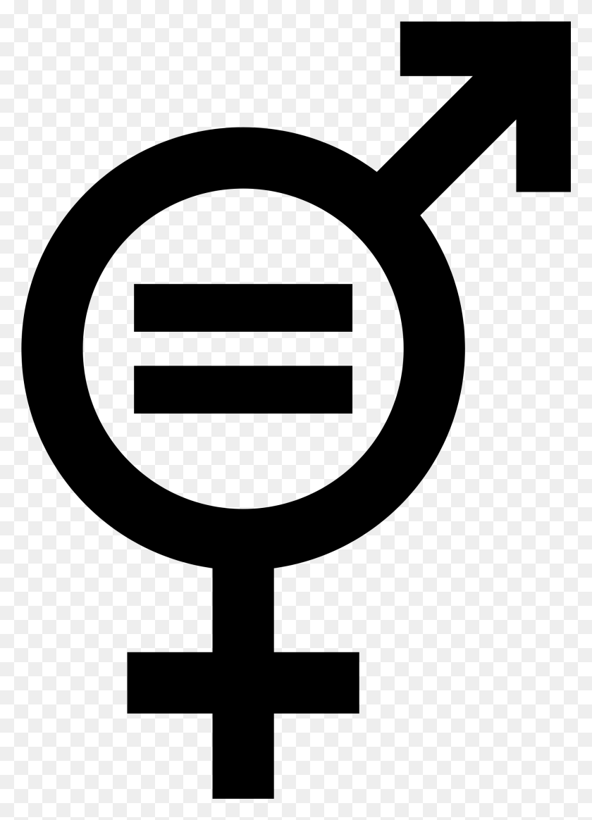 1955x2769 Символ Гендерного Равенства Знак Гендерного Равенства, Серый, Мир Варкрафта Png Скачать