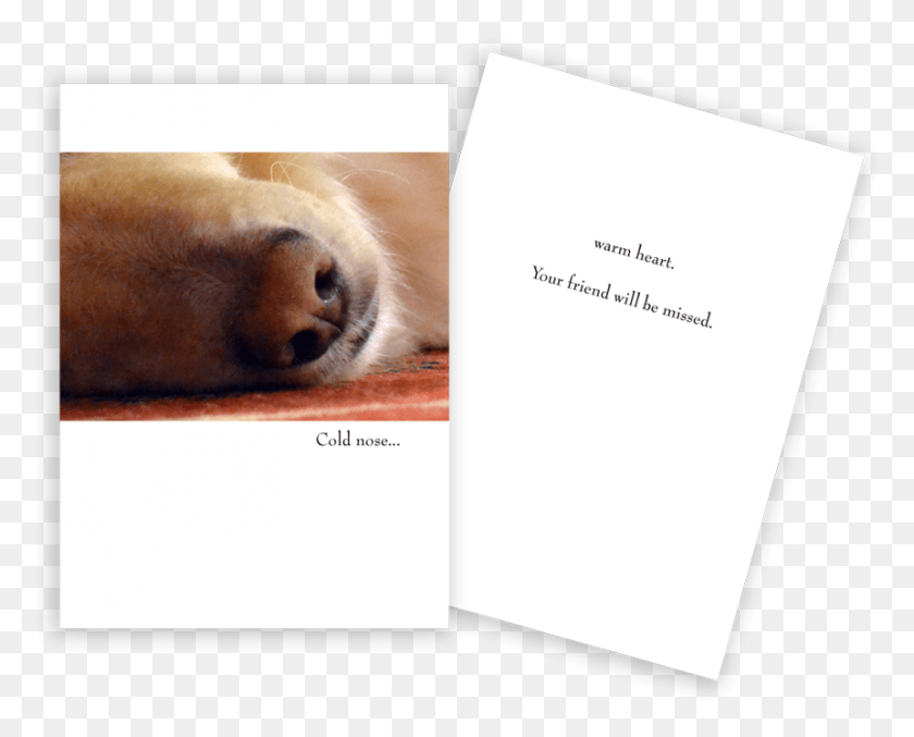861x682 Sympathy Card Dog Nose Golden Retriever Retirement Cards, Pet, Canine, Animal HD PNG Download