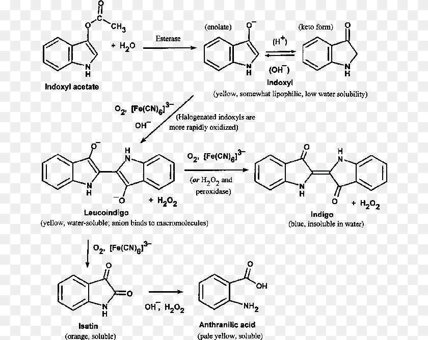 680x668 Synthesis Of Clozapine Clipart PNG