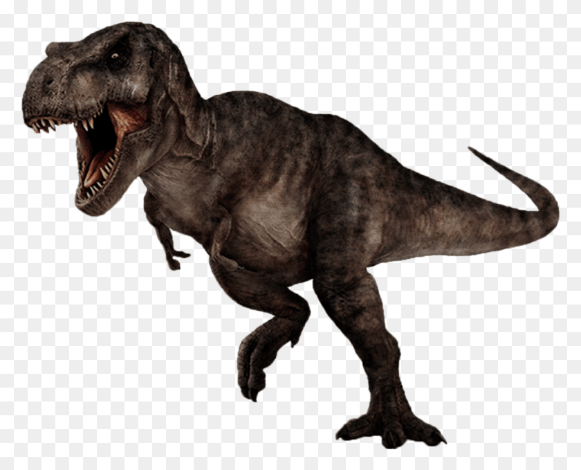947x752 T Rex Image T Rex No Background, T-rex, Dinosaur, Reptile HD PNG Download