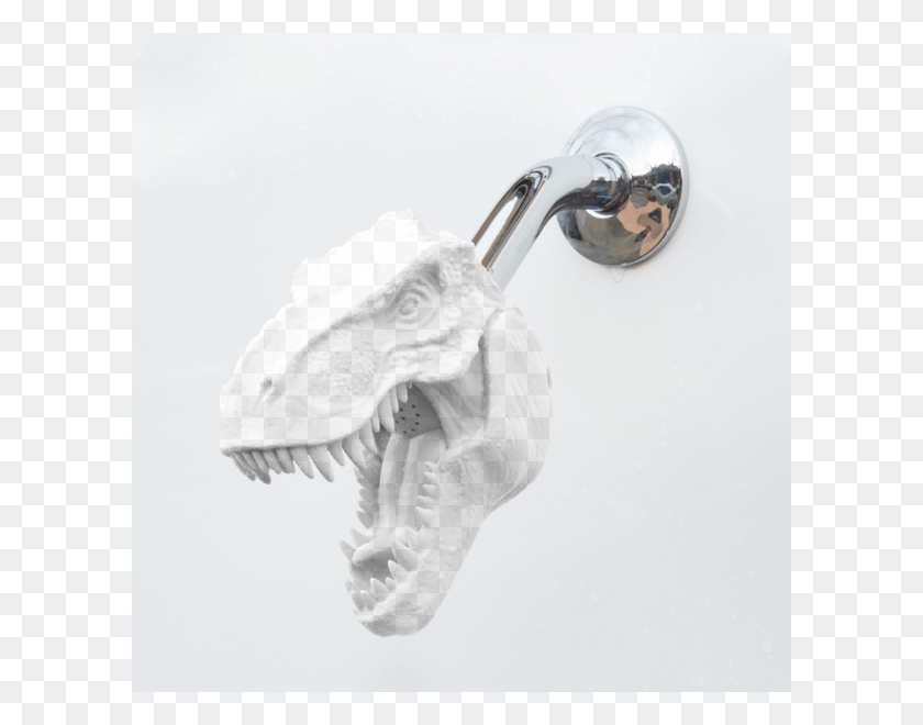 600x600 T Rex Shower Head, Animal, Dinosaur, Reptile HD PNG Download