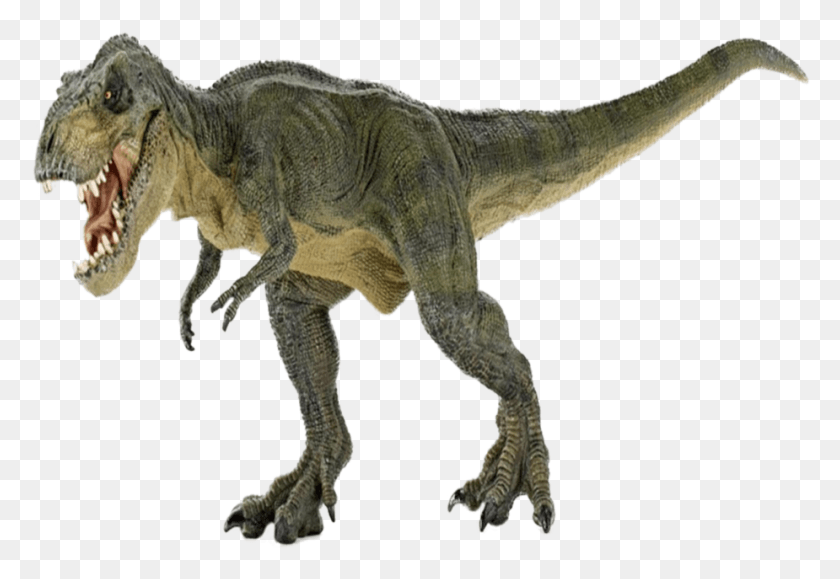 925x616 T Rex, Dinosaurio, Reptil, Animal Hd Png