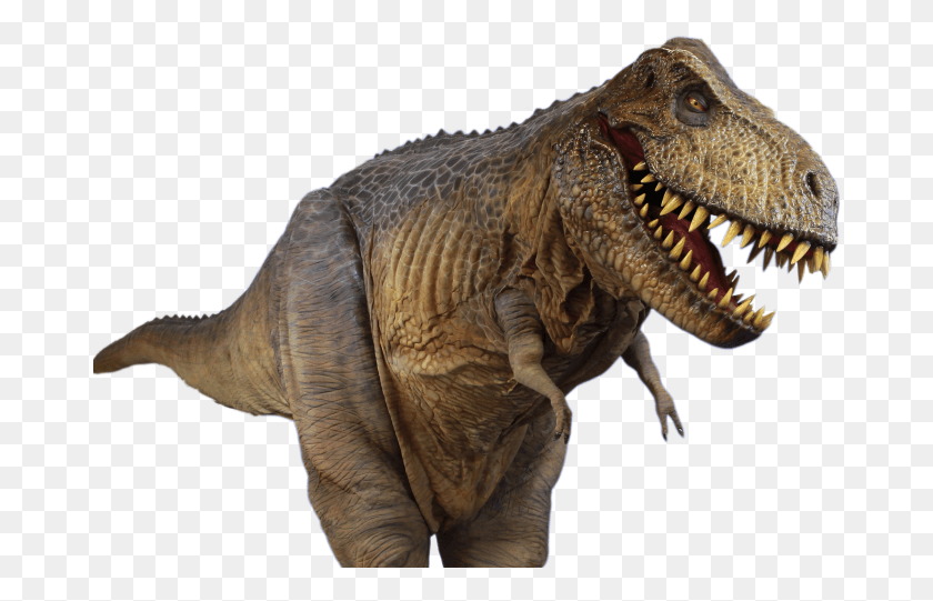 674x481 T Rex Transparent Photo Tyrone The T Rex, Dinosaur, Reptile, Animal HD PNG Download